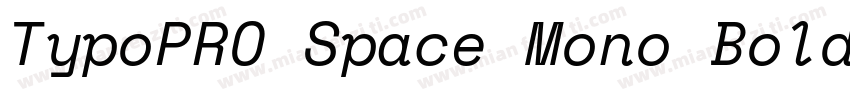TypoPRO Space Mono Bold字体转换